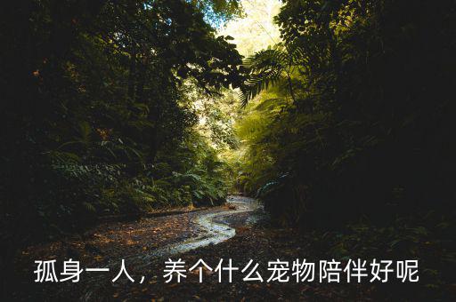 孤身一人，養(yǎng)個(gè)什么寵物陪伴好呢