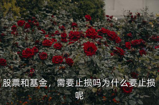 股票和基金，需要止損嗎為什么要止損呢