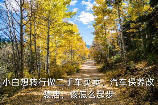 小白想轉(zhuǎn)行做二手車買賣，汽車保養(yǎng)改裝店，該怎么起步