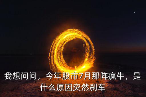 我想問問，今年股市7月那陣瘋牛，是什么原因突然剎車