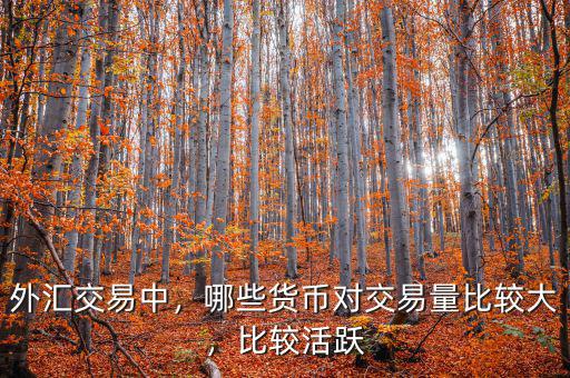 外匯交易中，哪些貨幣對(duì)交易量比較大，比較活躍
