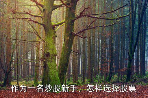 作為一名炒股新手，怎樣選擇股票