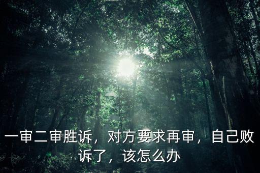 一審二審勝訴，對(duì)方要求再審，自己敗訴了，該怎么辦