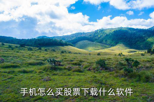 手機(jī)怎么買(mǎi)股票下載什么軟件