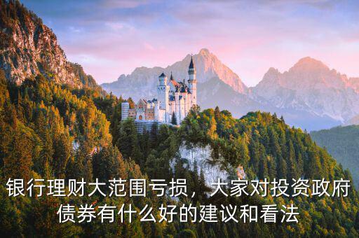 銀行理財(cái)大范圍虧損，大家對投資政府債券有什么好的建議和看法