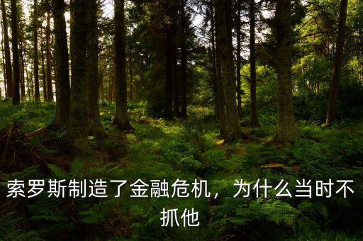 索羅斯制造了金融危機(jī)，為什么當(dāng)時(shí)不抓他