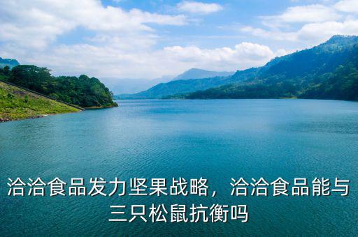 洽洽食品發(fā)力堅果戰(zhàn)略，洽洽食品能與三只松鼠抗衡嗎