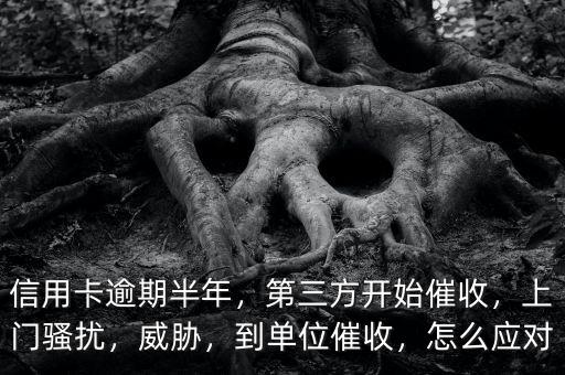 信用卡逾期半年，第三方開(kāi)始催收，上門(mén)騷擾，威脅，到單位催收，怎么應(yīng)對(duì)