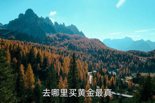 怎么買黃金,請(qǐng)問買什么黃金好
