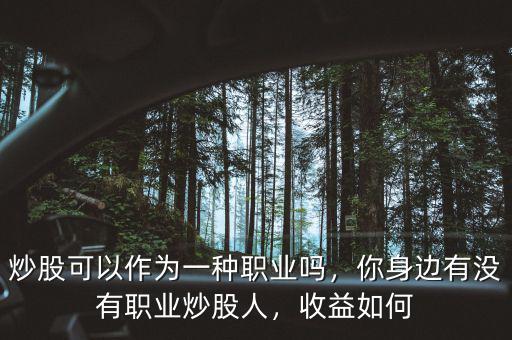 炒股可以作為一種職業(yè)嗎，你身邊有沒有職業(yè)炒股人，收益如何