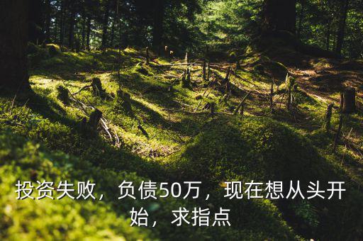 投資失敗，負(fù)債50萬(wàn)，現(xiàn)在想從頭開(kāi)始，求指點(diǎn)