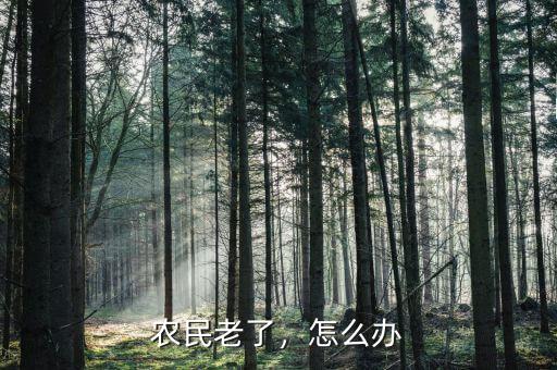 農(nóng)民老了怎么辦,你認為該怎么辦