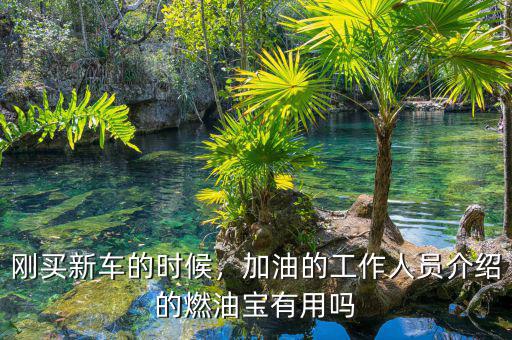 剛買新車的時(shí)候，加油的工作人員介紹的燃油寶有用嗎