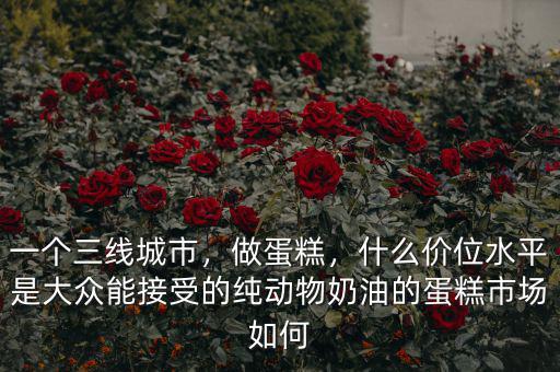 一個三線城市，做蛋糕，什么價位水平是大眾能接受的純動物奶油的蛋糕市場如何