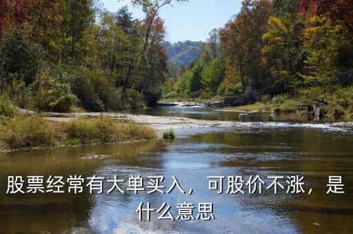 股票經(jīng)常有大單買入，可股價不漲，是什么意思