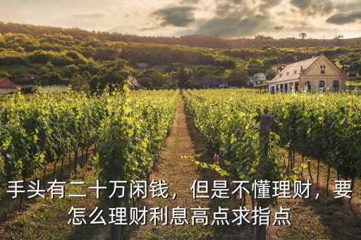 手頭有二十萬(wàn)閑錢，但是不懂理財(cái)，要怎么理財(cái)利息高點(diǎn)求指點(diǎn)