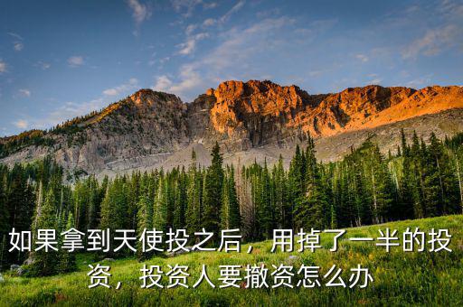 如果拿到天使投之后，用掉了一半的投資，投資人要撤資怎么辦