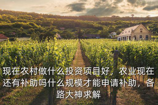 現(xiàn)在農(nóng)村做什么投資項目好，農(nóng)業(yè)現(xiàn)在還有補助嗎什么規(guī)模才能申請補助，各路大神求解