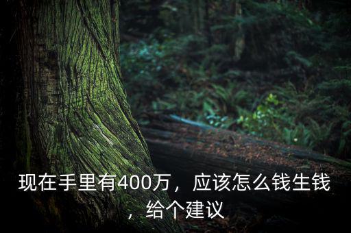 現(xiàn)在手里有400萬，應(yīng)該怎么錢生錢，給個建議