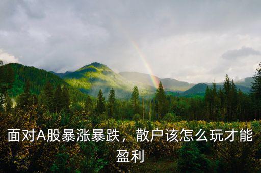 面對(duì)A股暴漲暴跌，散戶該怎么玩才能盈利