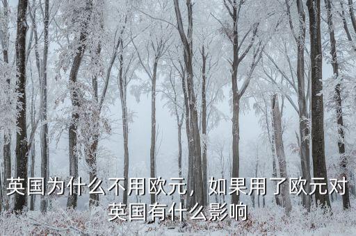 英國為什么不用歐元，如果用了歐元對(duì)英國有什么影響