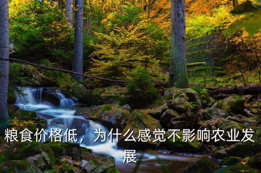 糧食價格低，為什么感覺不影響農業(yè)發(fā)展