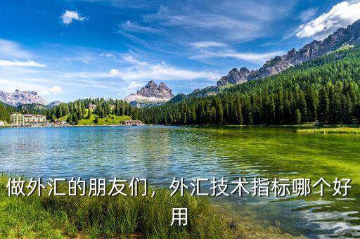 做外匯的朋友們，外匯技術(shù)指標(biāo)哪個(gè)好用