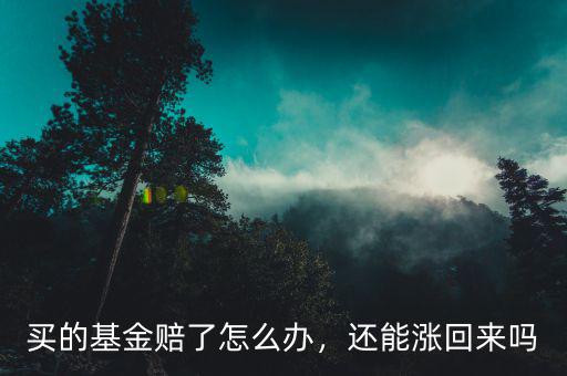 買的基金賠了怎么辦，還能漲回來(lái)嗎