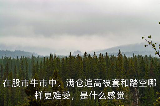 在股市牛市中，滿倉追高被套和踏空哪樣更難受，是什么感覺