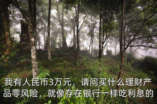 我有人民幣3萬(wàn)元，請(qǐng)問(wèn)買(mǎi)什么理財(cái)產(chǎn)品零風(fēng)險(xiǎn)，就像存在銀行一樣吃利息的