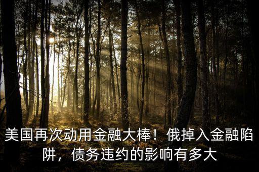 美國再次動用金融大棒！俄掉入金融陷阱，債務(wù)違約的影響有多大