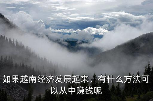 如果越南經(jīng)濟(jì)發(fā)展起來，有什么方法可以從中賺錢呢