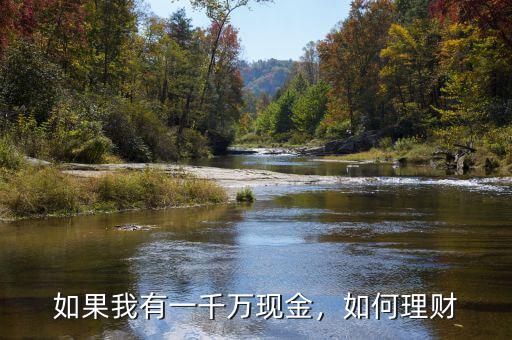 如果我有一千萬(wàn)現(xiàn)金，如何理財(cái)