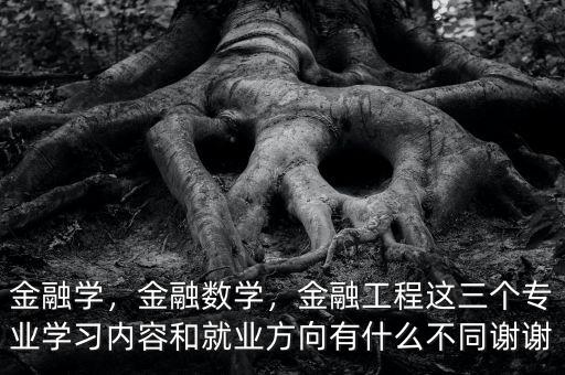 金融學(xué)，金融數(shù)學(xué)，金融工程這三個(gè)專業(yè)學(xué)習(xí)內(nèi)容和就業(yè)方向有什么不同謝謝