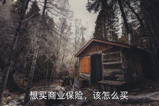 想買商業(yè)保險(xiǎn)，該怎么買