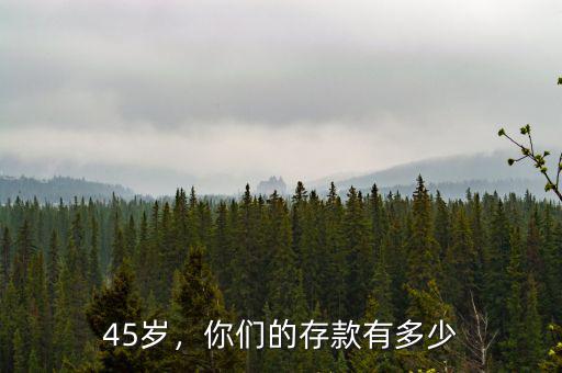 45歲，你們的存款有多少