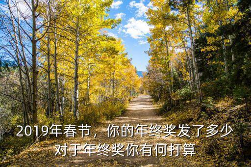 2019年春節(jié)，你的年終獎發(fā)了多少對于年終獎你有何打算