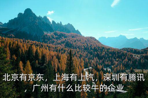 北京有京東，上海有上汽，深圳有騰訊，廣州有什么比較牛的企業(yè)