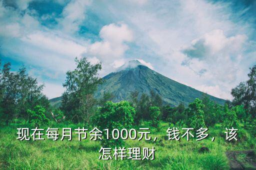 現(xiàn)在每月節(jié)余1000元，錢不多，該怎樣理財(cái)