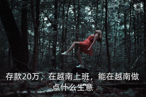 存款20萬，在越南上班，能在越南做點什么生意