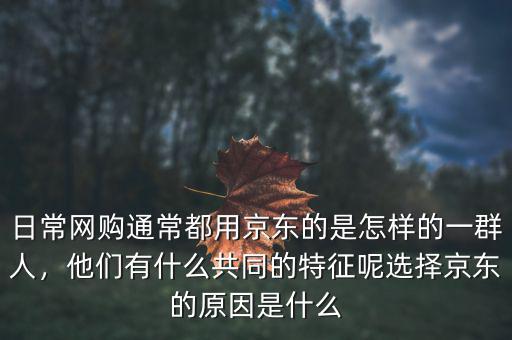 日常網(wǎng)購(gòu)?fù)ǔ６加镁〇|的是怎樣的一群人，他們有什么共同的特征呢選擇京東的原因是什么