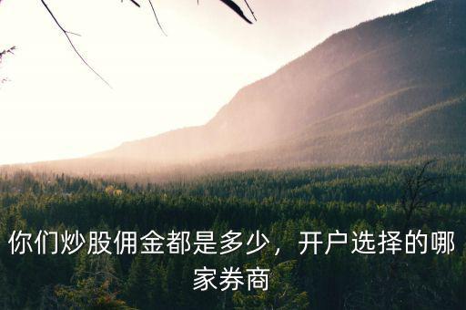 你們炒股傭金都是多少，開戶選擇的哪家券商
