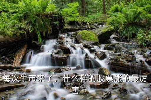 每次牛市來(lái)了，什么樣的股票漲的最厲害