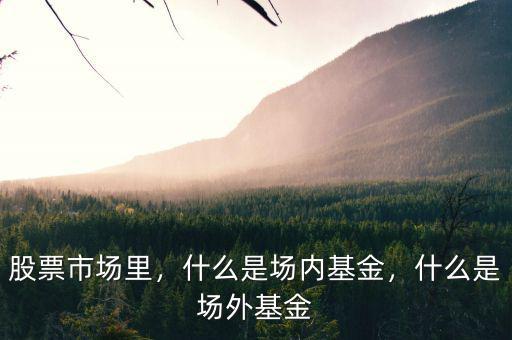 股票市場(chǎng)里，什么是場(chǎng)內(nèi)基金，什么是場(chǎng)外基金