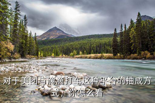 對(duì)于美團(tuán)與滴滴打車這種平臺(tái)的抽成方式，你怎么看