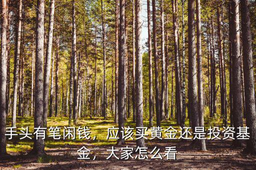 手頭有筆閑錢，應(yīng)該買黃金還是投資基金，大家怎么看