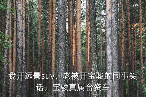 我開(kāi)遠(yuǎn)景suv，老被開(kāi)寶駿的同事笑話，寶駿真屬合資車