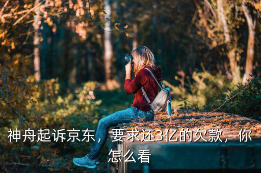 神舟起訴京東，要求還3億的欠款，你怎么看