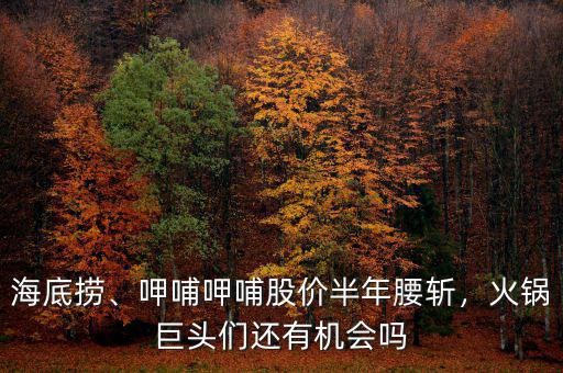 海底撈、呷哺呷哺股價半年腰斬，火鍋巨頭們還有機會嗎