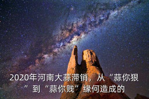 2020年河南大蒜滯銷，從“蒜你狠”到“蒜你賤”緣何造成的